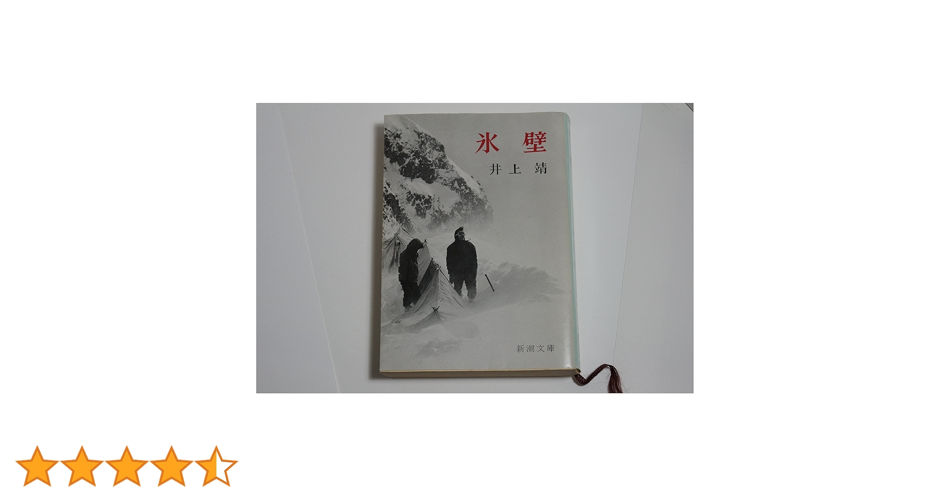 井上靖 氷壁 射程 河口 蒼き狼　文学名作4冊セット 井上靖 氷壁 射程 河口 蒼き狼 文学名作4冊セット 氷壁』 井上靖 |